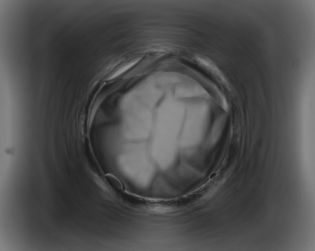 X0000083040585200703022050