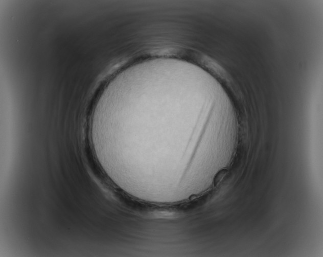 X0000083040586200703022050