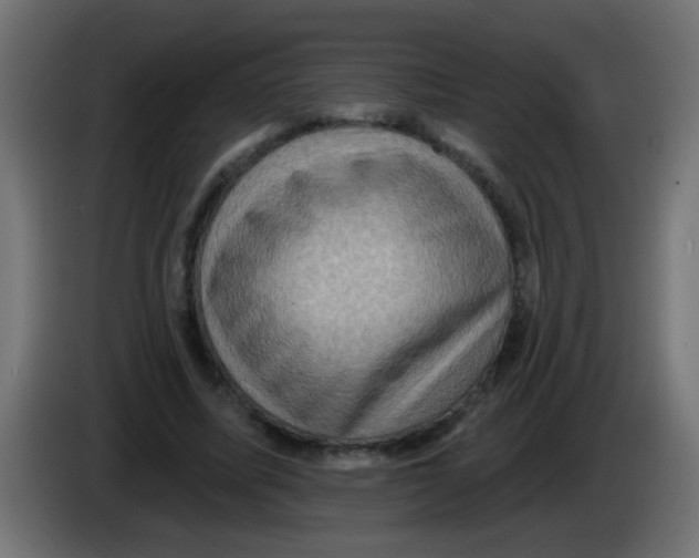 X0000083040587200703022050