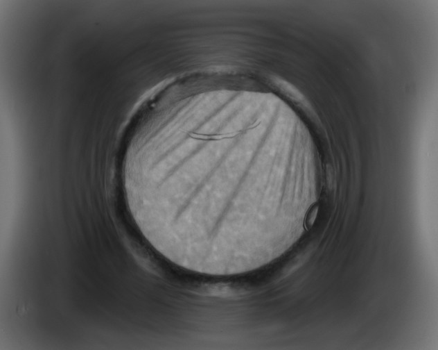 X0000083040588200703022050