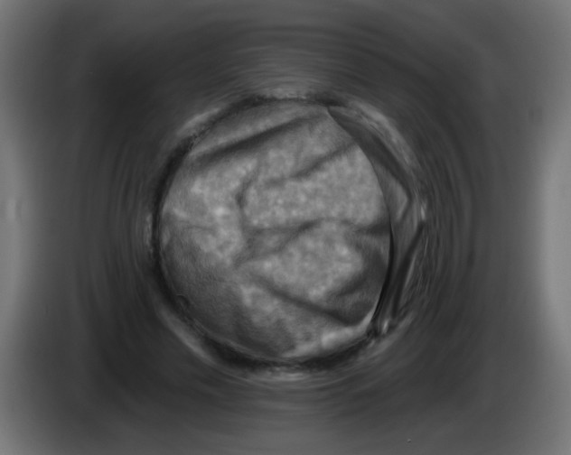 X0000083040589200703022050