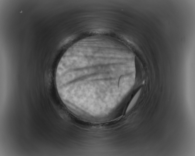X0000083040591200703022050