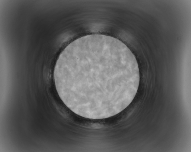 X0000083040592200703022050