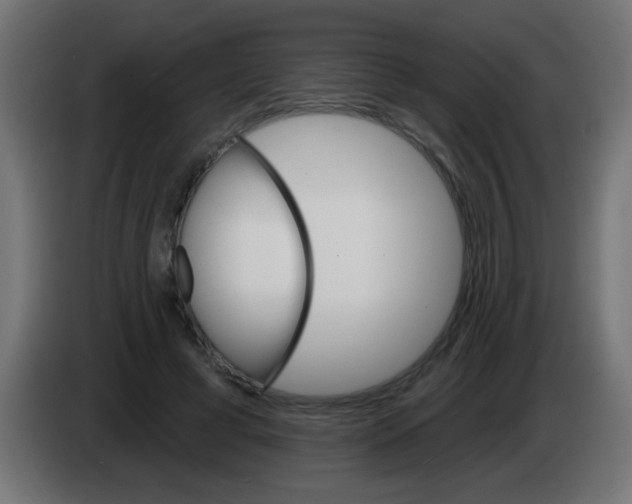 X0000083040593200703022050