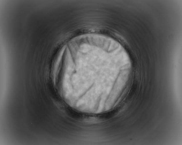 X0000083040594200703022050