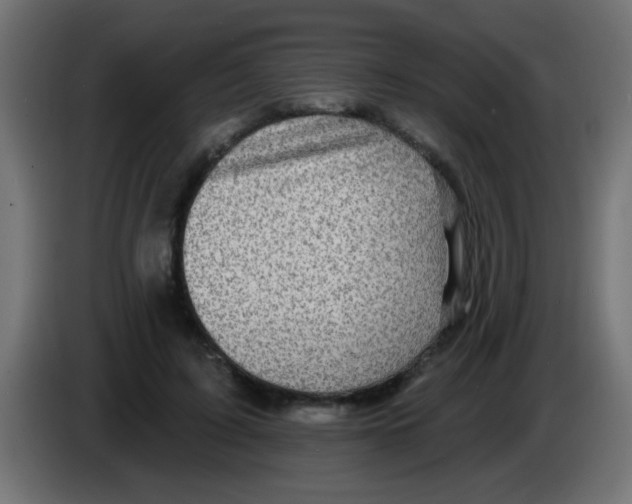 X0000083040595200703022050