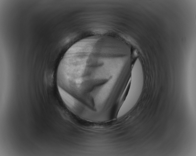 X0000083040596200703022050