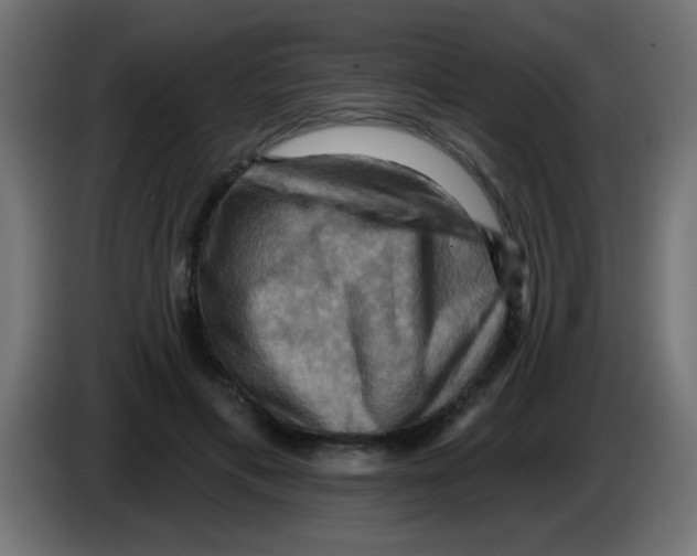 X0000083040597200703022050