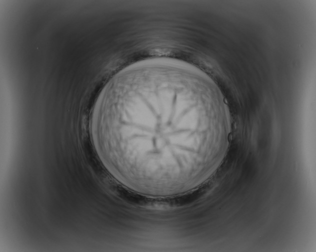 X0000083040598200703022050