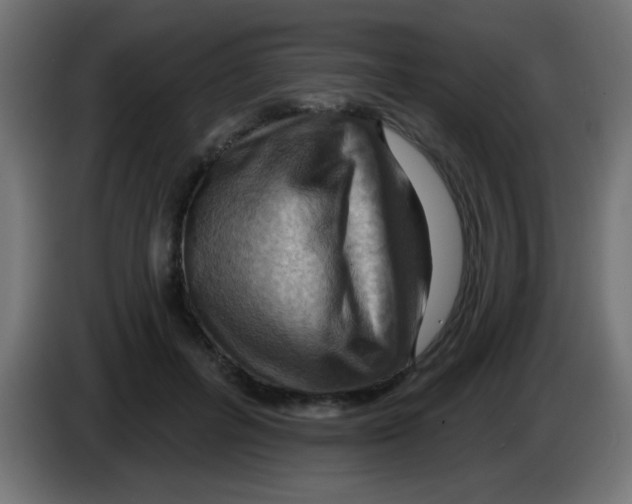 X0000083040600200703022050