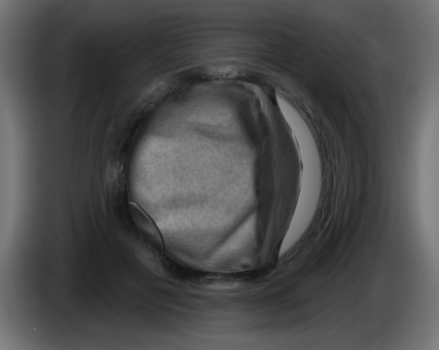 X0000083040601200703022050