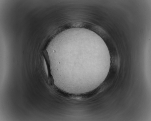 X0000083040602200703022050