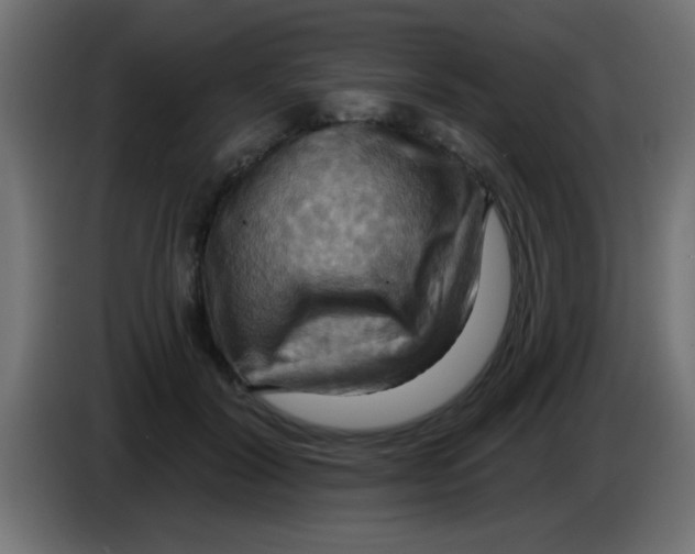X0000083040604200703022050