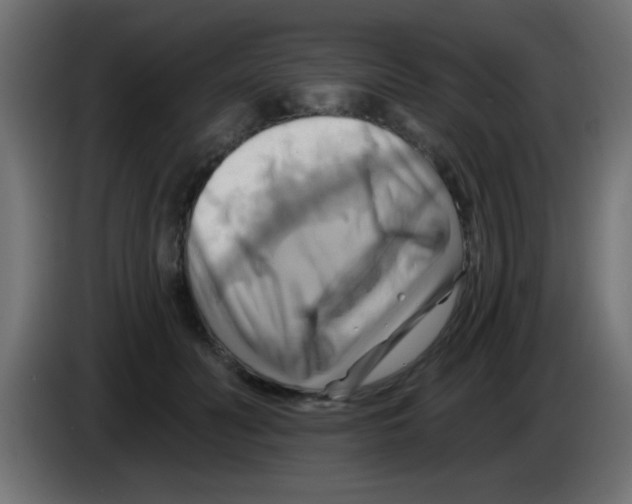 X0000083040606200703022050