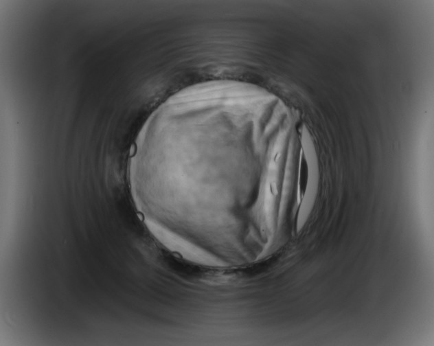 X0000083040607200703022050