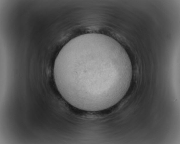 X0000083040608200703022050