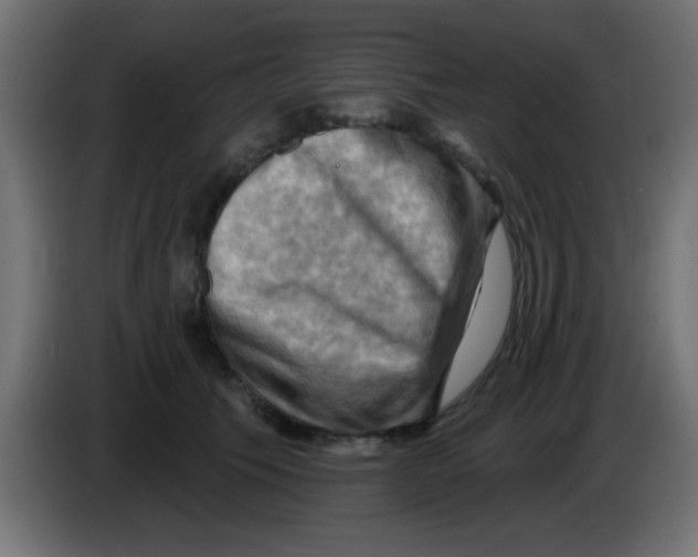 X0000083040609200703022050