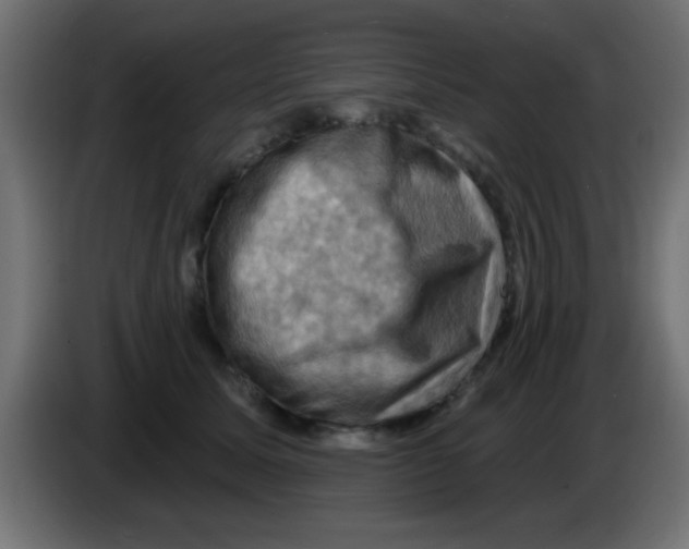 X0000083040611200703022050