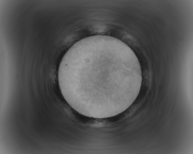 X0000083040612200703022050