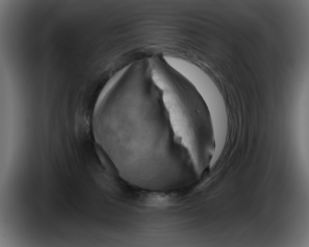 X0000083040613200703022050