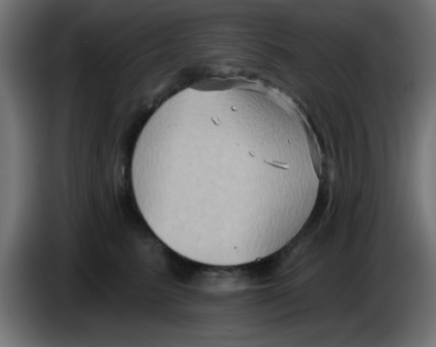 X0000083040615200703022050