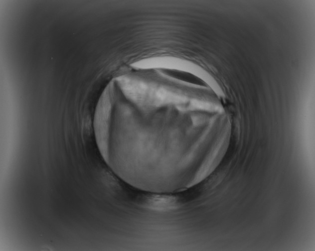 X0000083040617200703022050
