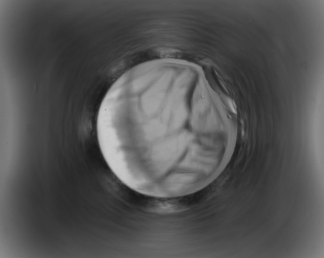 X0000083040618200703022050