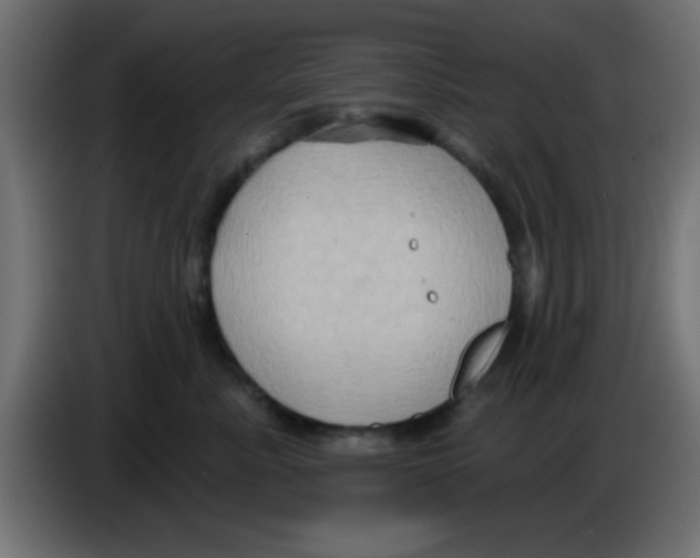 X0000083040619200703022050