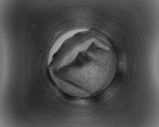 X0000083040620200703022050