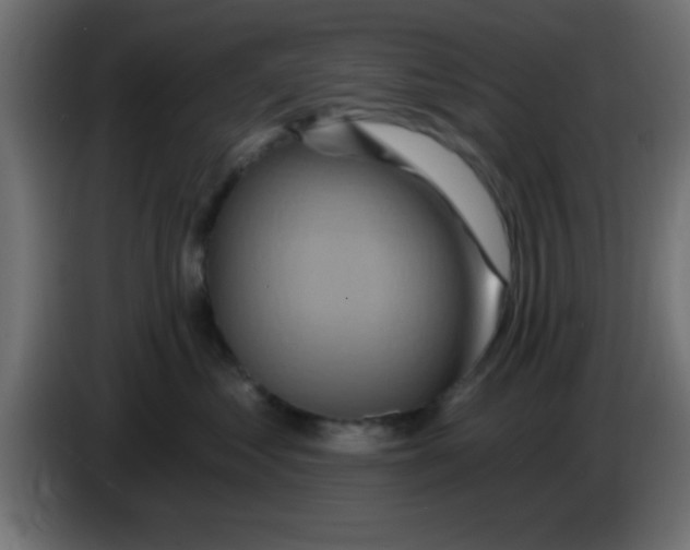 X0000083040621200703022050