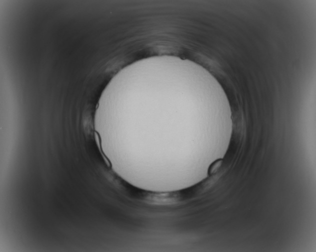X0000083040622200703022050