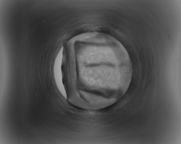 X0000083040624200703022050