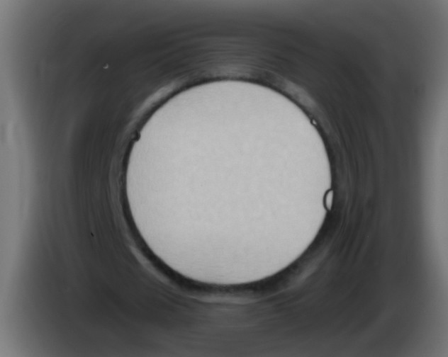 X0000083040625200703022049