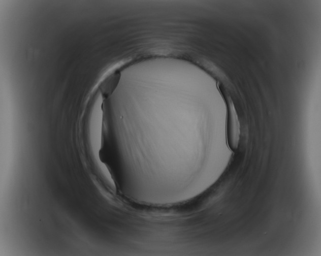 X0000083040626200703022049