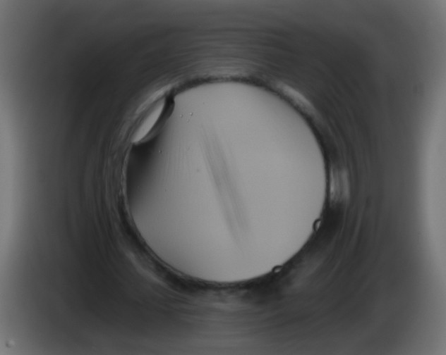 X0000083040627200703022049