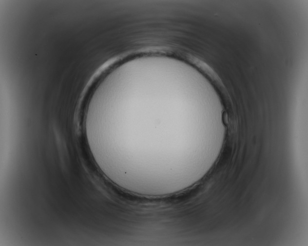 X0000083040628200703022049