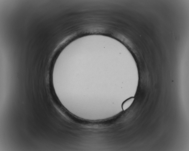 X0000083040629200703022049