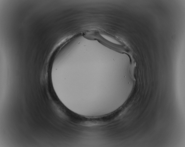 X0000083040630200703022049