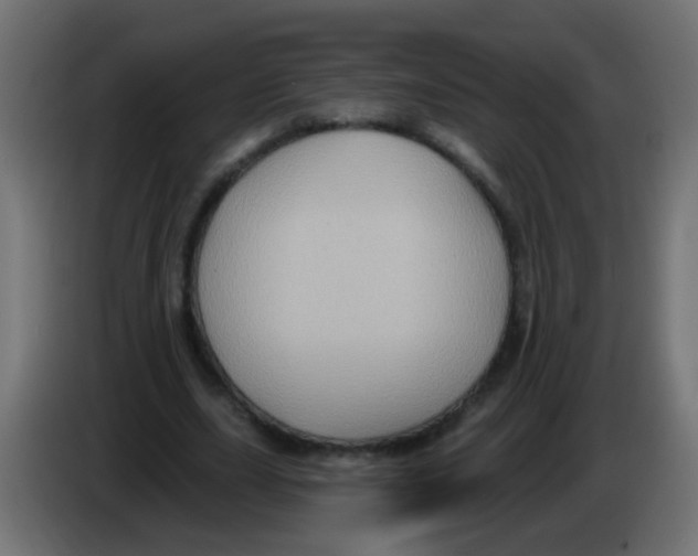 X0000083040631200703022049