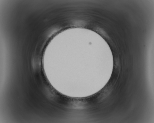 X0000083040632200703022049