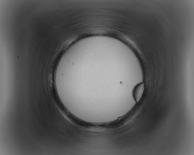 X0000083040633200703022049