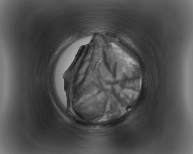 X0000083040634200703022049