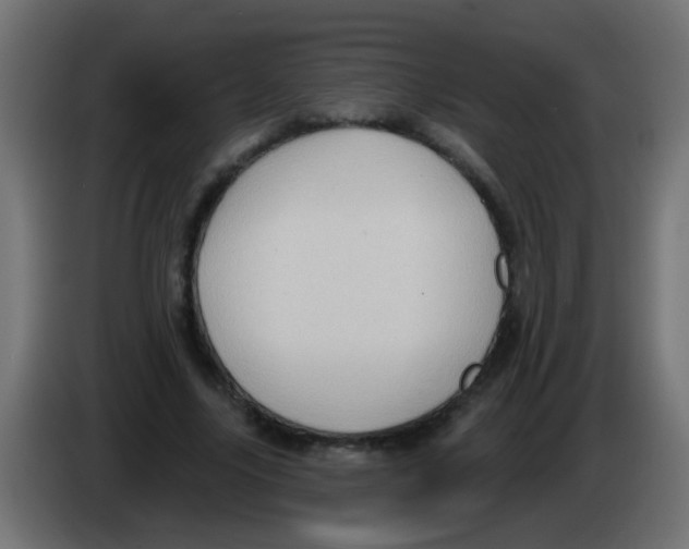 X0000083040635200703022049