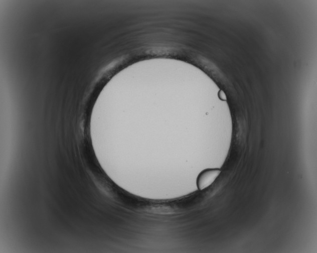 X0000083040636200703022049