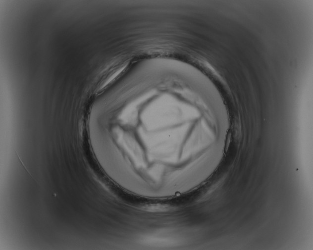 X0000083040637200703022049