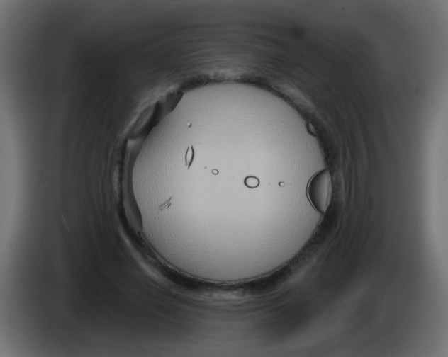X0000083040638200703022049