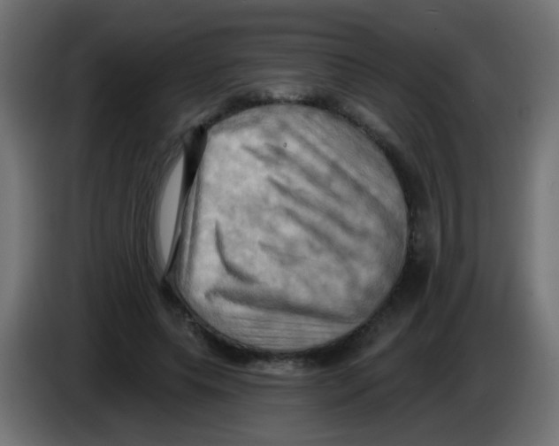 X0000083040639200703022049