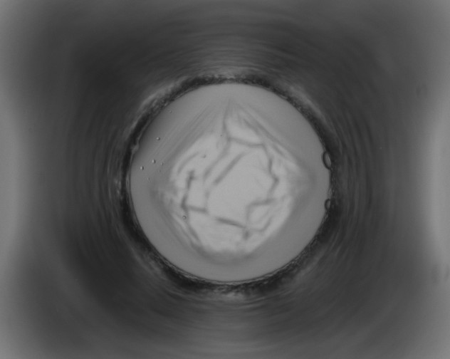 X0000083040640200703022049