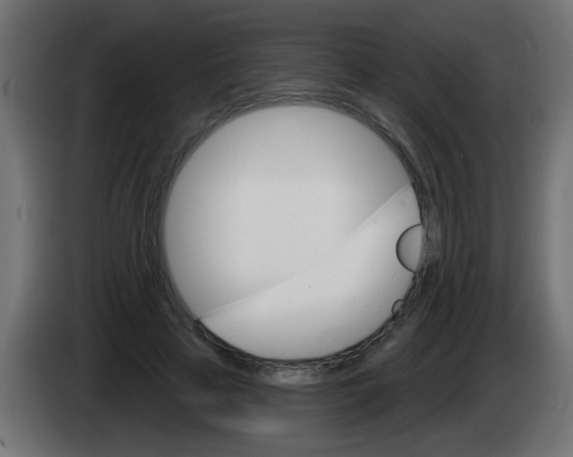 X0000083040641200703022049