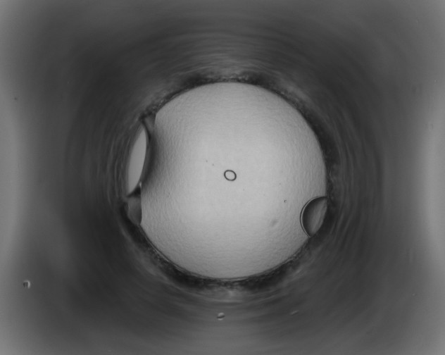 X0000083040642200703022049